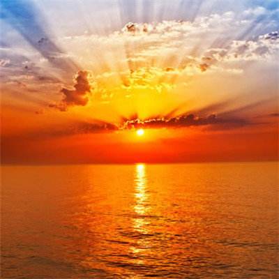 NG体育APP官方下载网址手机app下载